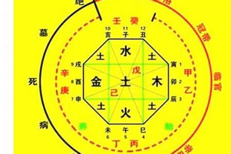 命盤 五行|生辰八字算命、五行喜用神查询（免费测算）